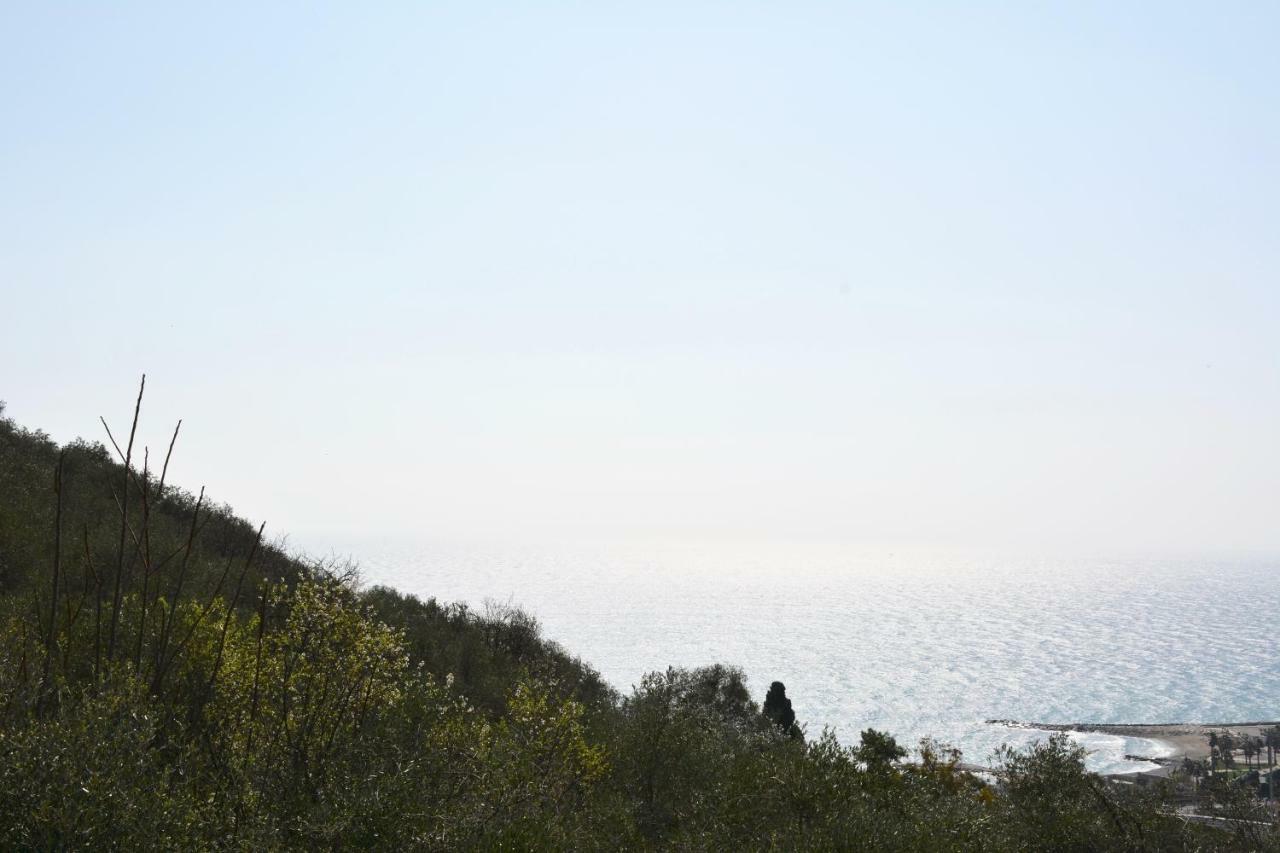 インペリア La Torrettaヴィラ エクステリア 写真